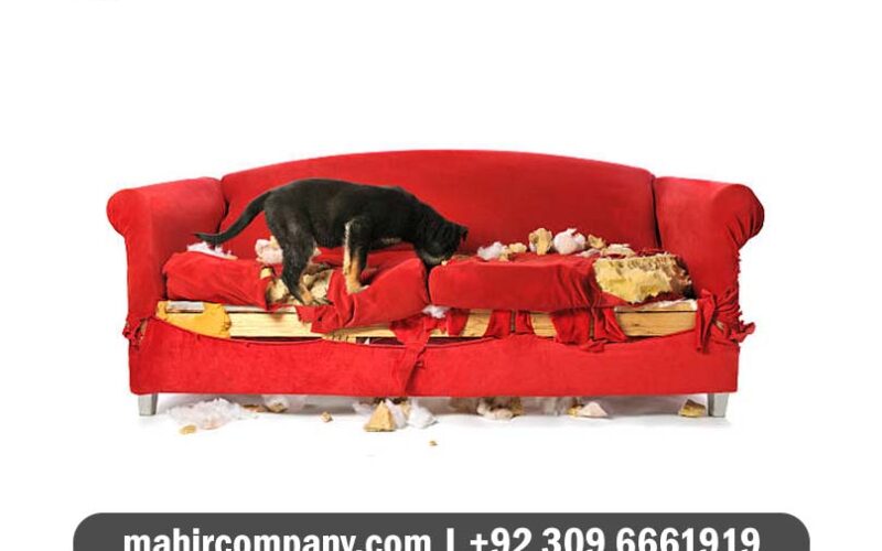 Do You Know You are Destroying Your Sofa - Sofa Cleaning