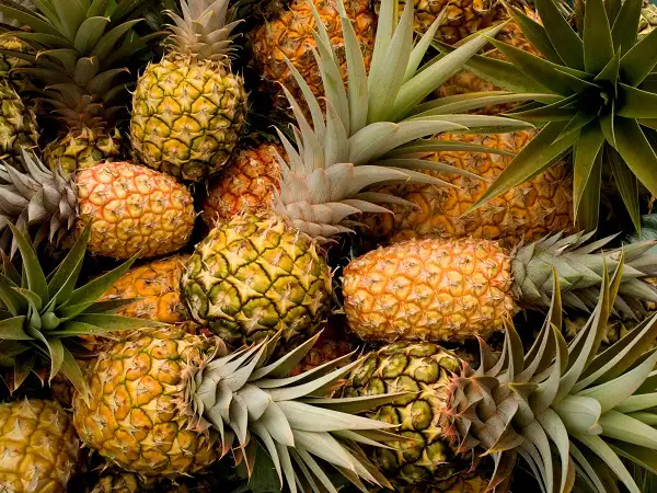 Human Benefits Of Pineapples For Health