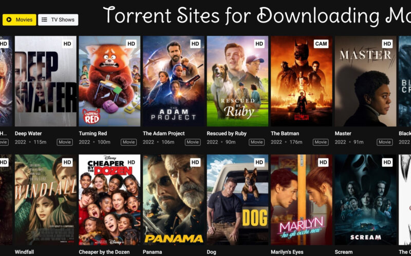 Top 10 Torrent Sites for Downloading Movies