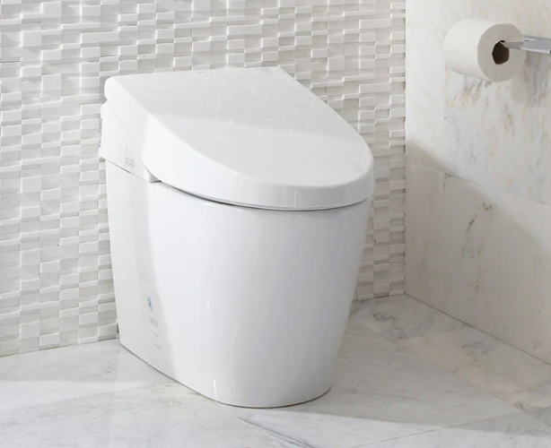<strong>5 Essential Tips to Buy Smart Bidet Toilets</strong>